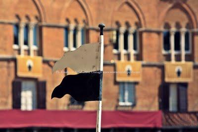 Chi perde 'un cogliona... Palio dell'Assunta Siena 16 agosto 2011