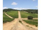 Ampeleia, tuffo goloso nell’Alta Maremma, ovvero Monteregio