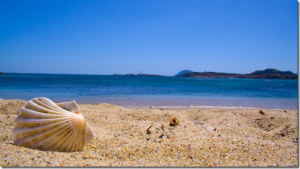 Cosa fare per Ferragosto se siete al mare in Maremma