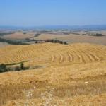 crete senesi panorama