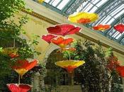 paper umbrellas_Bellagio Botanical Gardens