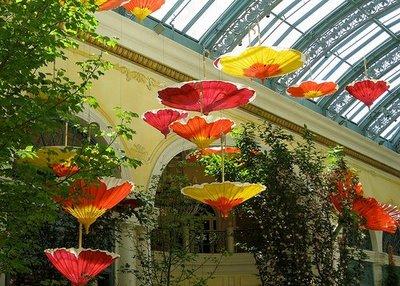 paper umbrellas_Bellagio Botanical Gardens