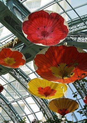paper umbrellas_Bellagio Botanical Gardens