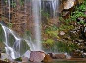 C’era volta… vado vedere c’e’ ancora