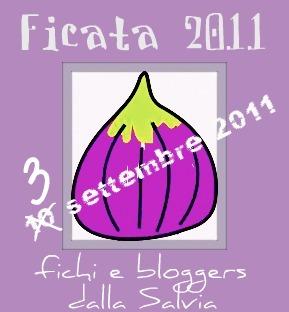 { FICATA 2011 }