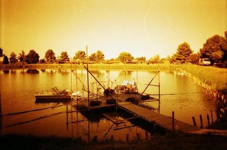 LOMOGRAPHY • concerto dei Donvito e i Veleno - Pentax PC-550 e Lomography Redscale XR 50-200