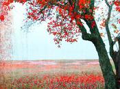 tutta verità dilla obliqua