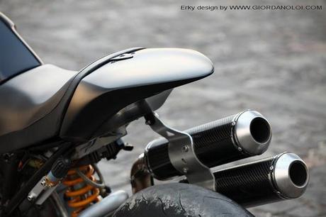 Ducati Monster Erky