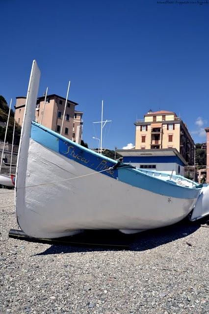 Su e giù per il Tirreno...