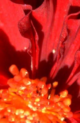 pensieri intensi.....a POSITANO