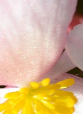 pensieri intensi.....a POSITANO