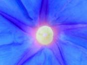 pensieri intensi.....a POSITANO