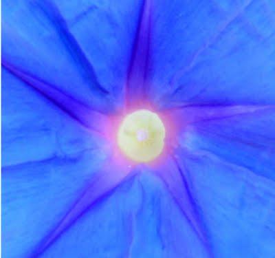 pensieri intensi.....a POSITANO