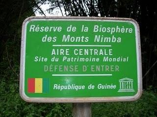 Riserva naturale del Monte Nimba