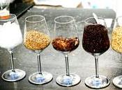 Arrivano birre Agricole Territoriali