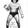 Andre The Giant