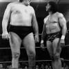 Andre The Giant