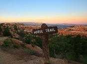 Horse Trail Sunrise Point