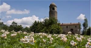 All’agriturismo Montagna Verde di Apella