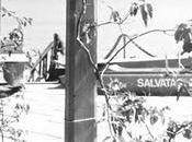 Agosto 1981