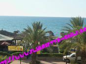 Estate 2011 :tunisia
