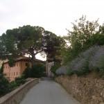 ingresso a Castelfalfi