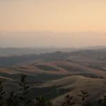 non sono crete ma colline pisane