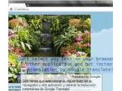 traduzione testi arriva desktop