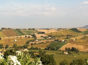 Ecco perché adoro le Marche