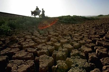 Multinazionali nel Corno d'Africa: la terra non è arida per tutti