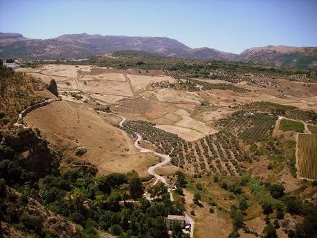 Pics of a summer (III part)!