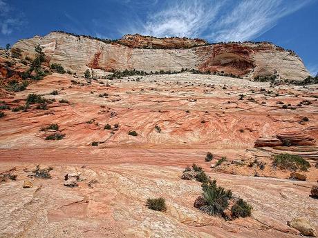 Zion/Bottom