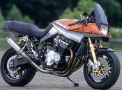 Suzuki 1100 Katana Bravissimo