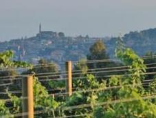 presentiamo l’Etna Bianco Fondo Filara firmato Cantine Nicosia, presente banchetto delle nozze sponsorizzate!