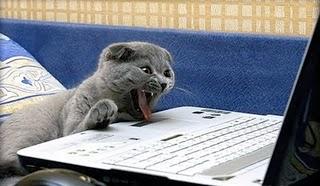 TG1 e il “grazie Berlusconi“ fantasma