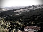 "Sulle Orme Vadis" News