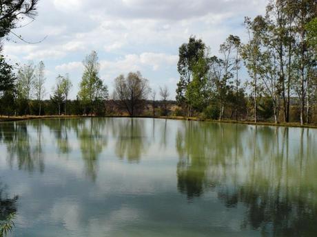 Settimana Internazionale dell’Acqua: il nostro Pianeta ha sete!