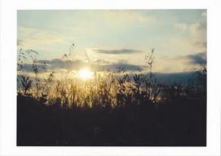 La storia della mia vita. Post n.3