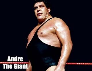 WWE 12 : Andre the Giant e Owen Hart non saranno inclusi