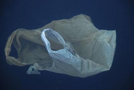 Della fragilità degli (in)umani sacchetti biodegradabili