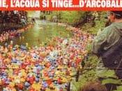 Gara particolare: Ducky Derby
