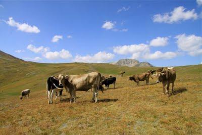 passeggiare in montagna, Livigno