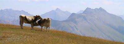 passeggiare in montagna, Livigno