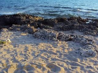 il Salento: terra di profumi, sapori, arte e mare stupendo ( parte seconda)