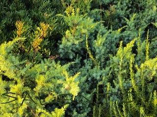 il Salento: terra di profumi, sapori, arte e mare stupendo ( parte seconda)