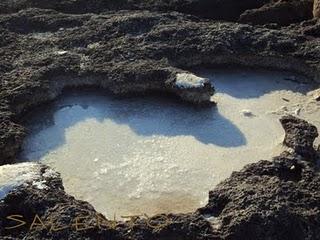 il Salento: terra di profumi, sapori, arte e mare stupendo ( parte seconda)