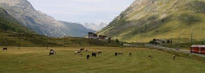 Il trenino del Bernina