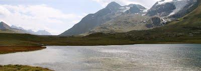 Il trenino del Bernina