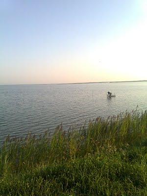 Laguna Veneta in MTB