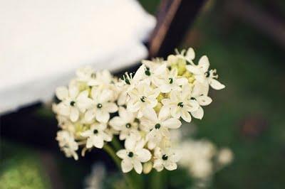 Un Sì...tra veli e stoviglie